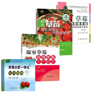 草莓种植技术书籍4册 大棚草莓栽培技术种植育苗书大全农业果树病虫害图谱教程高效优质生产技术整形修剪与12月栽培管理疑难杂症图