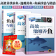 高效池塘养鱼 鱼病快速诊断与防治技术3册如何养殖水产图谱书鲤鱼饲料配方资料 养鱼技术书 高效养淡水鱼 大全一本通 草鱼养鱼书籍