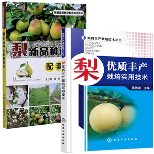 果树丰产栽培技术丛书+梨新品种及配套技术 全2册 梨树种植技术大全书果树病虫害图谱与防治嫁接技术图解书农业种植书籍科学实用果