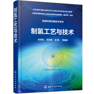 制氢工艺与技术 制氢技术书籍 零CO2排放制氢技术方法 制氢工艺 可供从事能源研究的工程技术人员参考 高等学校相关专业教材书籍