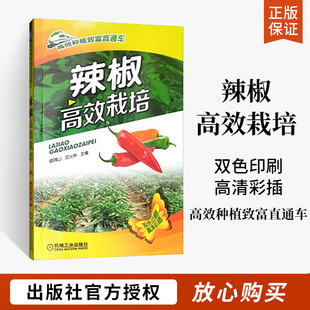 正版 辣椒高效栽培 栽培技术知识书籍 辣椒种植技术书辣椒病虫害园艺书籍 栽培技术参考学习手册  高效栽培关键技术 养殖系列指南