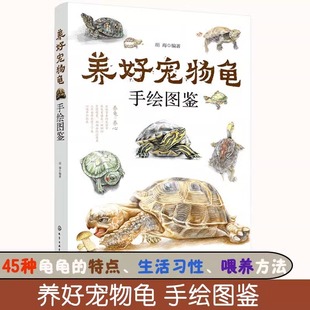 养好宠物龟手绘图鉴 水龟半水龟陆龟养殖书籍宠物龟饲养技术生活环境搭建乌龟喂养方法龟病防治书籍高效养殖技术教程书籍