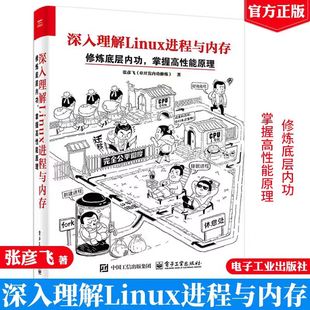 高频工程实践问题解决方案 深入理解Linux进程与内存：修炼底层内功 硬核建议 打造高性能高稳定应用 清扫性能 掌握高性能原理