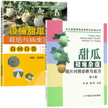 甜瓜疑难杂症图片对照诊断与处方+设施甜瓜栽培与病虫害防治百问百答 全2册 农业种植技术大全书籍现代大棚果蔬高效农药西瓜施肥肥