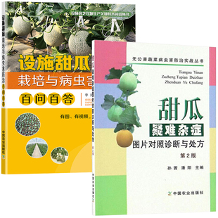 农业种植技术大全书籍现代大棚果蔬高效农药西瓜施肥肥 全2册 设施甜瓜栽培与病虫害防治百问百答 甜瓜疑难杂症图片对照诊断与处方