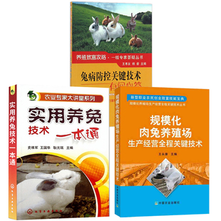 农业专家大讲堂系列 实用养兔技术一本通+兔病防控关键技术有问*答+规模化肉兔养殖场生产经营全程关键技术 全3册 养兔技术大全兔