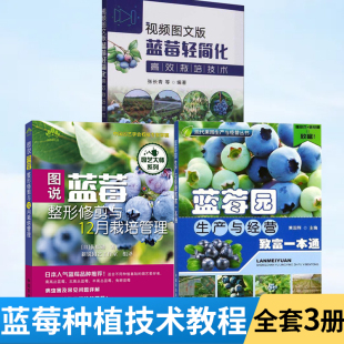 蓝莓种植技术全3册果树栽培教程图说蓝莓整形修剪与12月栽培管理+视频图文版蓝莓轻简化高效栽培技术+蓝莓园生产与经营致富一本通