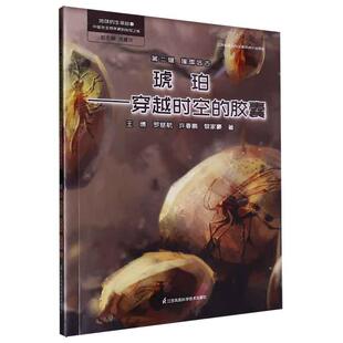 琥珀 科普书籍 古生物学家 青少年有关生命演化 胶囊 穿越时空 璀璨远古 第二辑 发现之旅 生命故事 地球