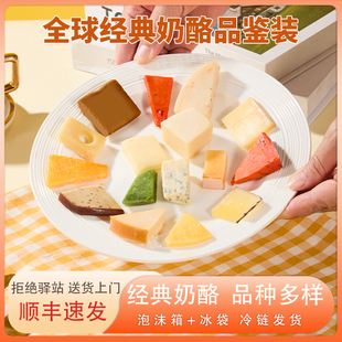 全球经典奶酪品鉴试吃帕玛森孔泰高达车达棕奶酪