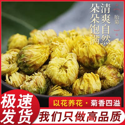 菊花茶胎菊王正宗特选桐乡胎菊清肝明目杭白菊清热降火批发花草茶