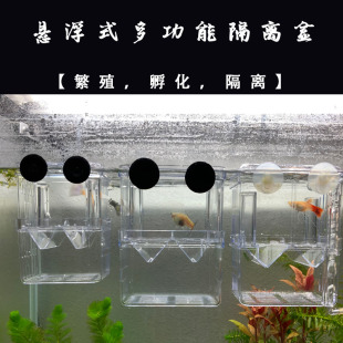 孔雀鱼繁殖盒鱼缸非亚克力隔离盒大号产卵孵化产房小鱼苗幼鱼