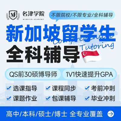 新加坡留学生线上一对一辅导授课学业本科硕士课讲解金融商科理工