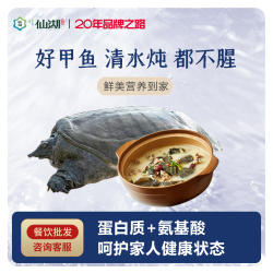 仙湖甲鱼汉寿甲鱼8年4.5斤老中华鳖大水鱼鲜活送父母健康食补礼品