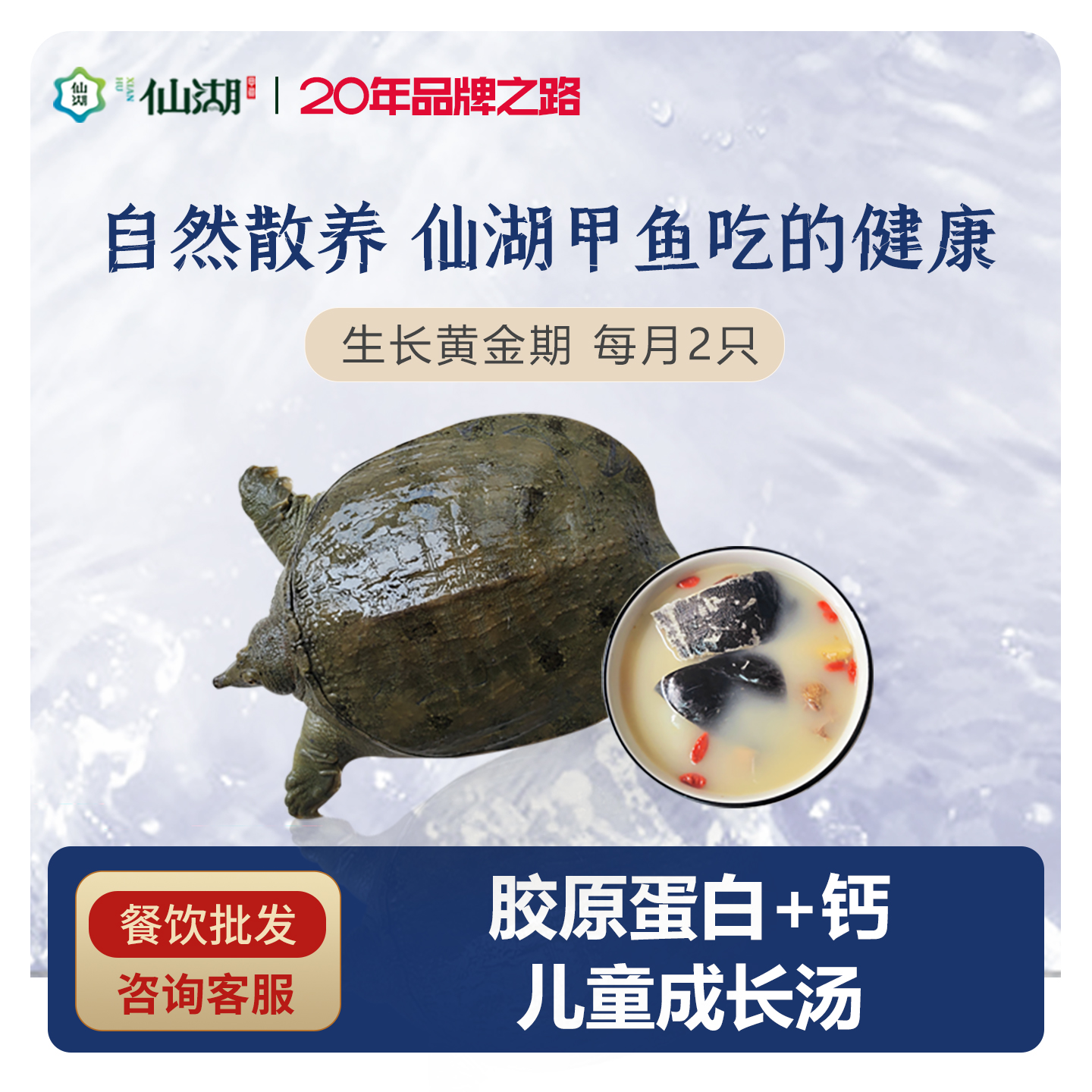 鲜活仙湖包活到家免费宰杀中华鳖