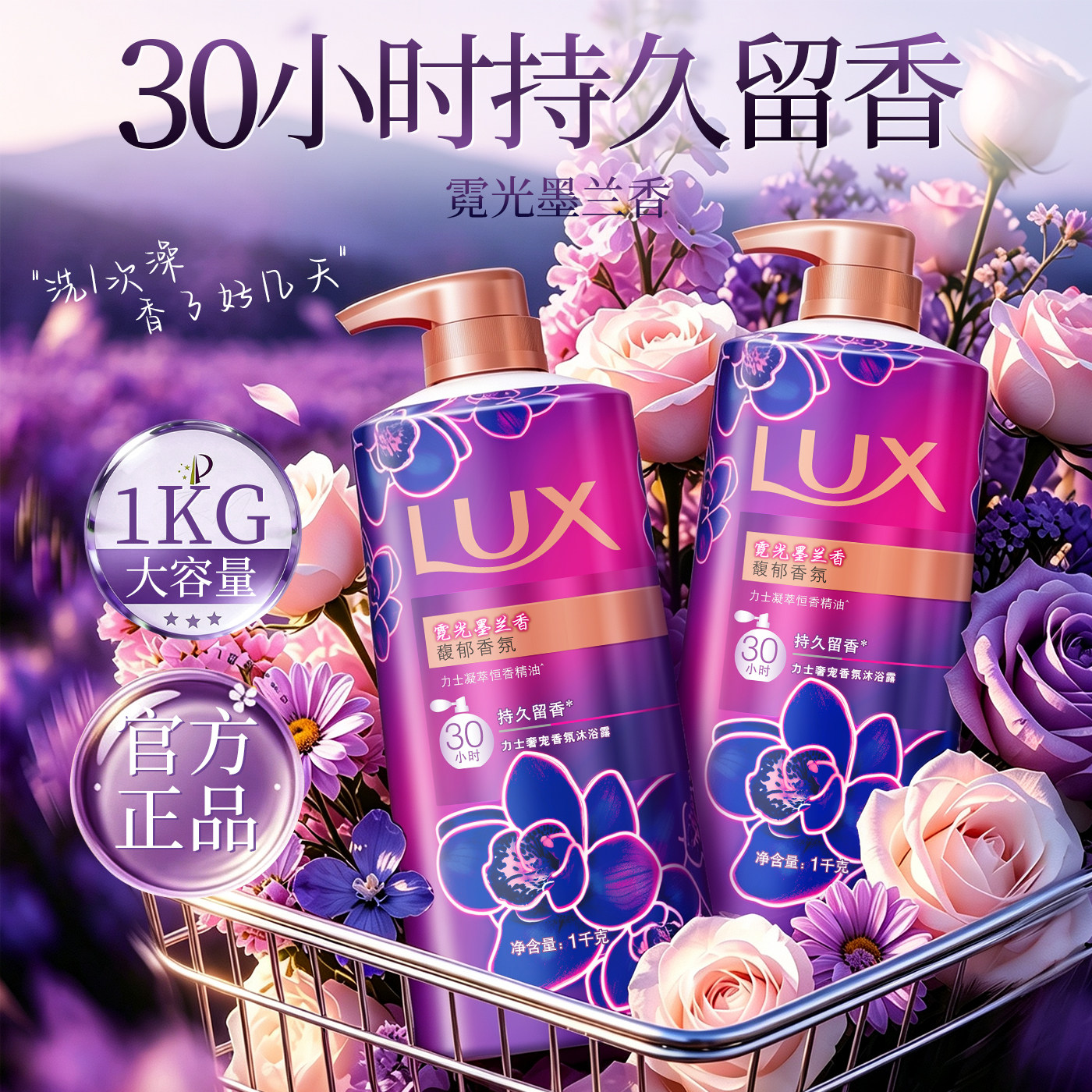 【依兰花香】霓光墨兰官方正品
