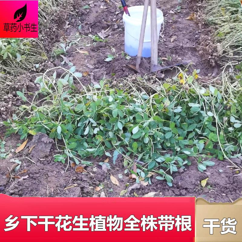 四川干花生藤食用泡茶图片