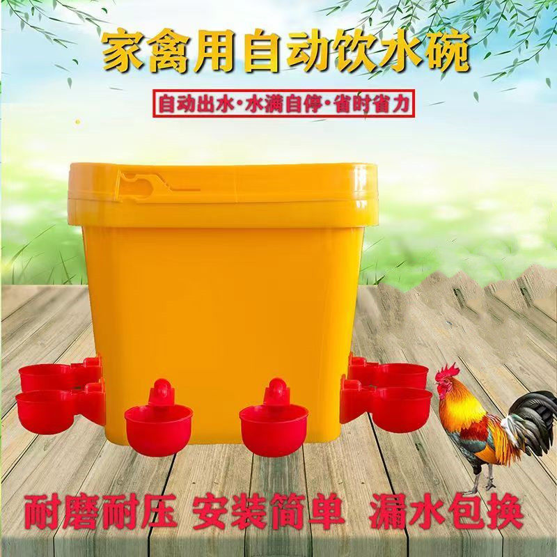 养殖鸡鸭鹅自动饮水碗 饮水器 鸽用自动饮水碗 鹌鹑饮水器 喝水碗