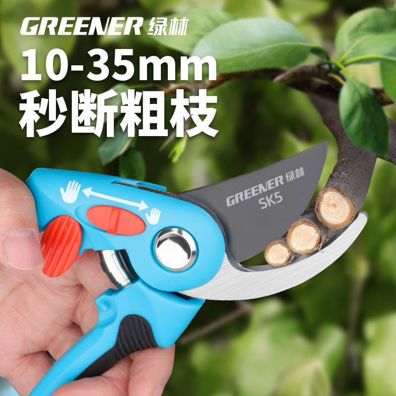 绿林剪树枝专用剪刀修枝剪果树剪园艺花剪园林花卉剪子省力家用剪