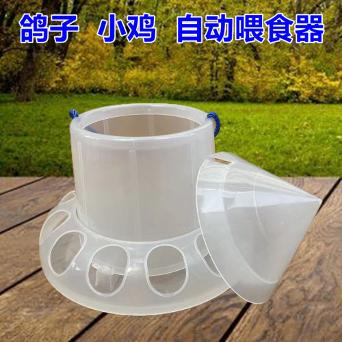 小鸡食槽鹌鹑食槽鸽子喂食器