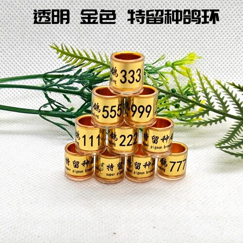 鸽子留种鸽子环豹子号环