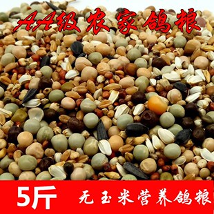 鸽粮无玉米幼鸽粮鸽子饲料营养鸟食鸽子用品肉鸽信鸽观赏赛鸽饲料