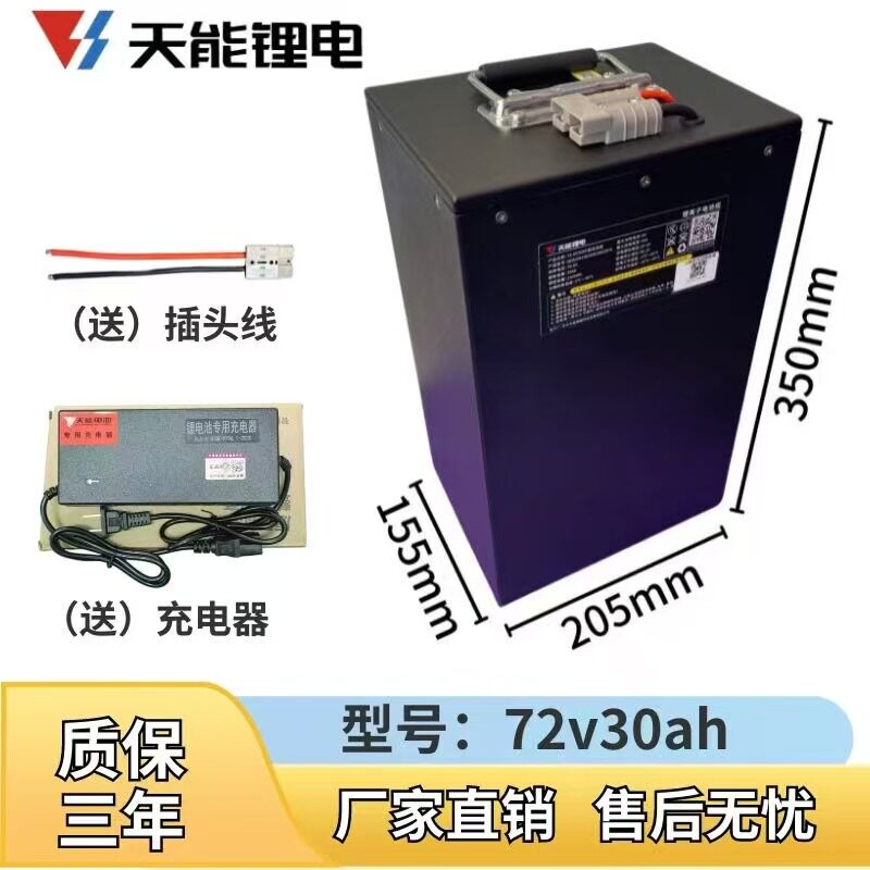 天能锂电48V12Ah国标电动车