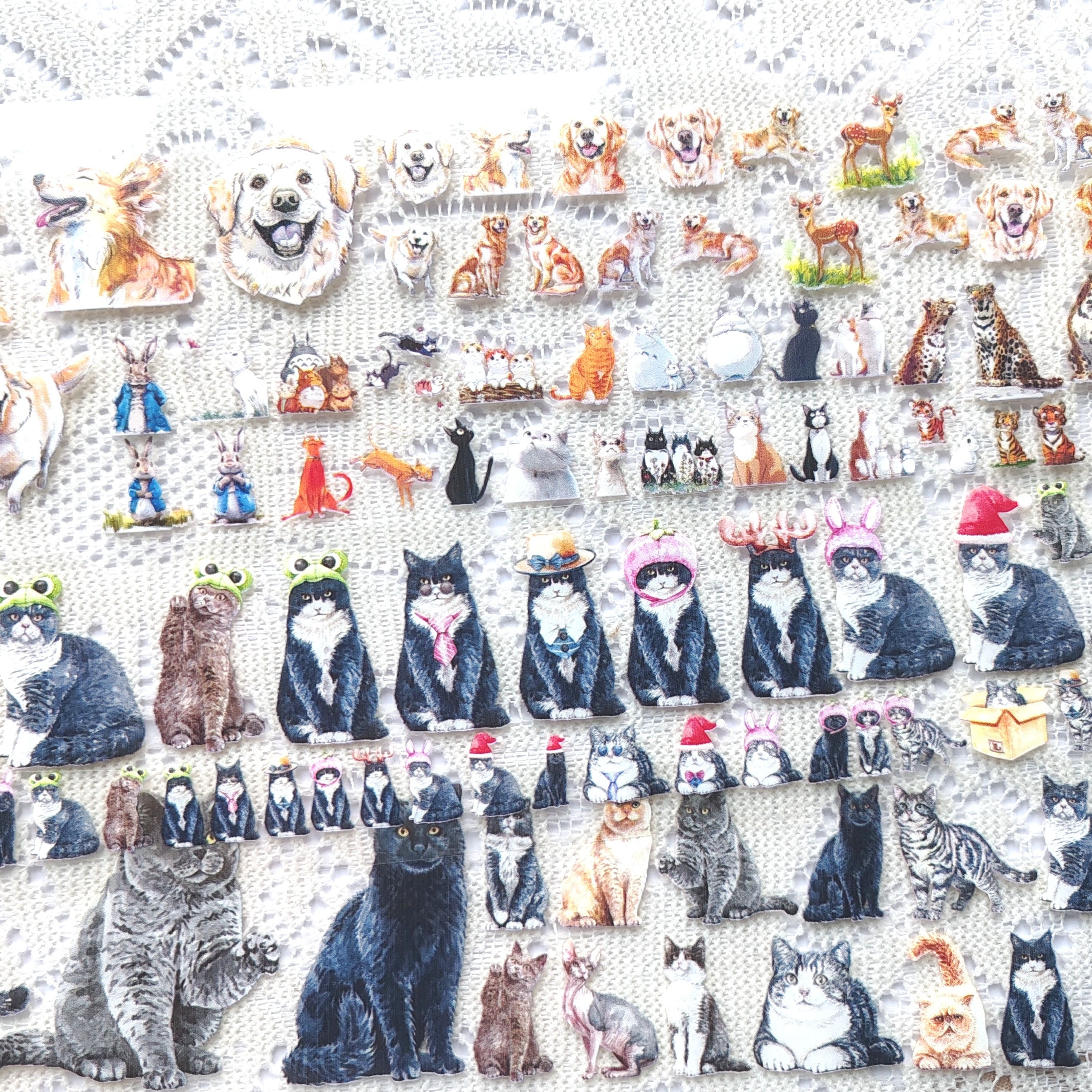 自制动物系列松鼠熊猫猫手帐胶带