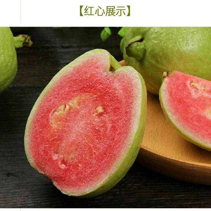 番石榴新鲜广西红心蕃潘巴乐助农