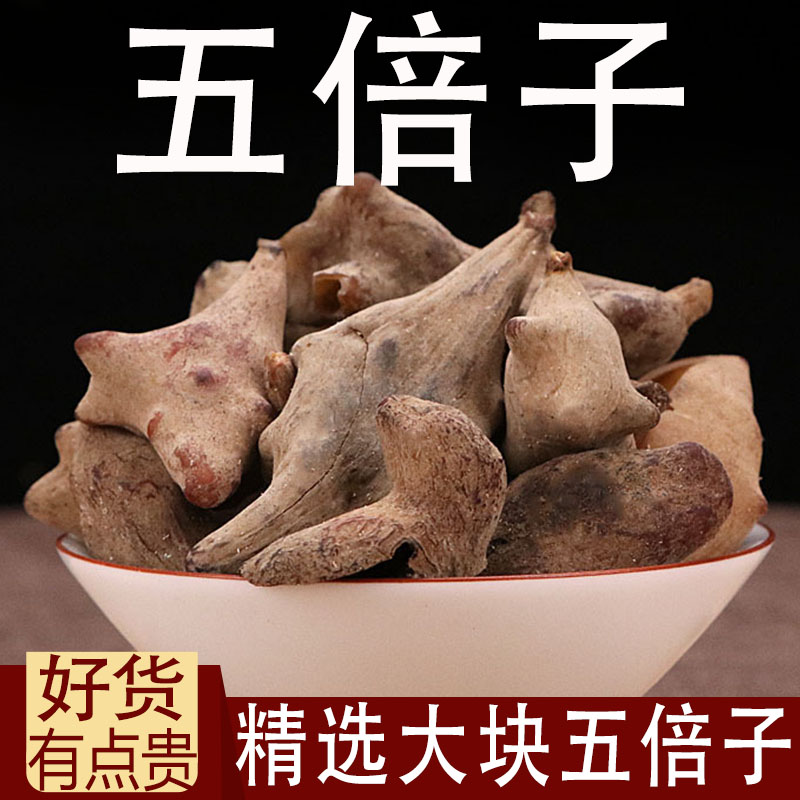 五倍子中药材肚倍干五倍子五贝子百虫仓文蛤角倍另售蛇床子