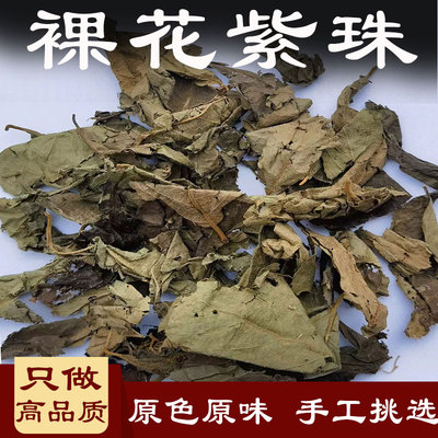 裸花紫珠中药材别名赶风柴节节红饭汤叶亚寨凡白花茶白花婆贼仔叶
