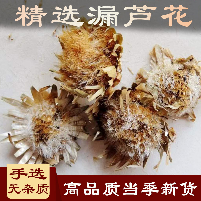 冷背药材芦花刺头牛蒡野兰油麻