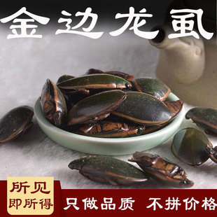 金边龙虱中药材250g水鳖虫 水虱 龙虱 射尿龟 尿缸贼 水龟子