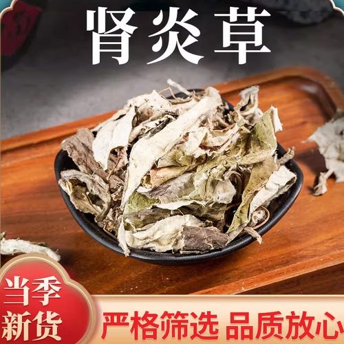 中药材肾炎马蹄杏香兔耳风叶子