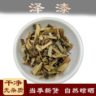 泽漆中药材500克五风草猫眼草五灯草五朵云猫儿眼草 漆茎 鹅脚板