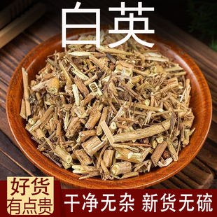 白英中药材蜀羊泉毛排风藤白毛藤山甜菜白草白幕排千年不烂心