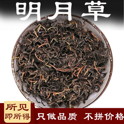 明月草中药材500克长寿雾之兰