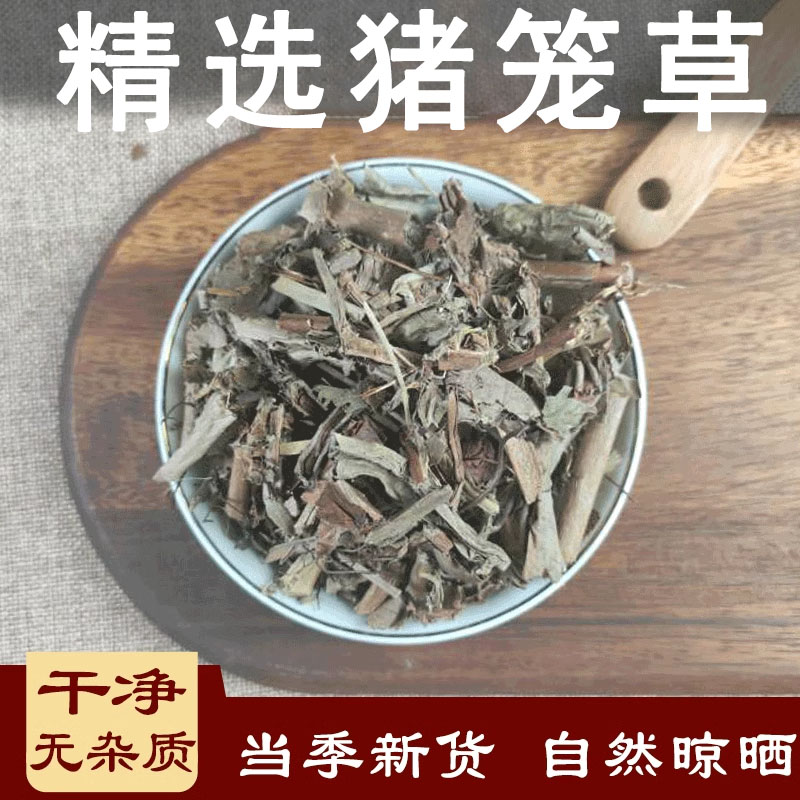 猪笼草中药材500克猴子水桶公仔