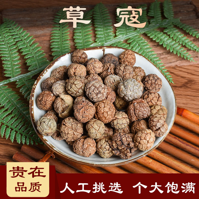 草寇 中药材 500克 海南山姜 小草蔻 土砂仁 假砂仁 中草药