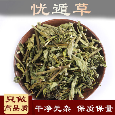 忧遁中药材千里柔刺汉帝沙巴蛇草