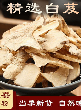 白芨鸟儿娃百雾之兰散装