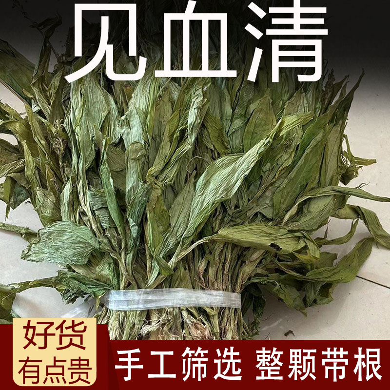 见血清中药材500g克血见清见血清草干见血青羊耳蒜羊耳蒜见血莲
