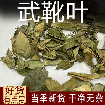 武靴叶中药材 匙羹藤叶 武靴叶 武靴藤叶全叶纯叶 匙羹藤