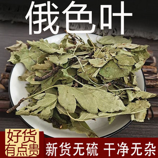 正宗俄色叶中药材500克西藏俄色叶 俄色叶茶变叶海棠 花叶海棠