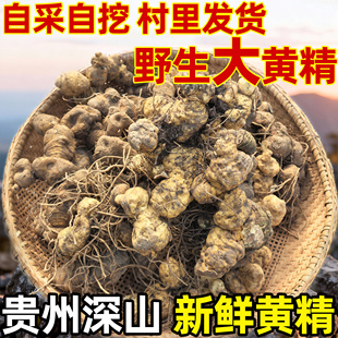 贵州野生新鲜黄精中药材现挖新货天然无添加姜型老虎姜可煲汤泡酒