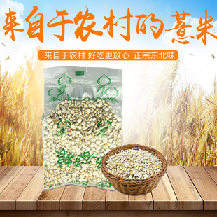 仁薏米 包邮 农家薏仁米 满19元 苡米仁250g一袋 精选小薏米