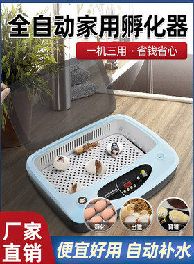 孵化器小型家用迷你芦丁鸡孵化机全自动智能鹦鹉鹌鹑小鸟蛋孵化箱