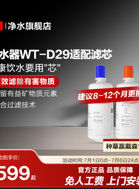 3M家用直饮净水器WT-D29型原装替换滤芯双子2000/WT-E20通用滤芯