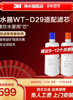 3M家用直饮净水器WT-D29型原装替换滤芯双子2000/WT-E20通用滤芯