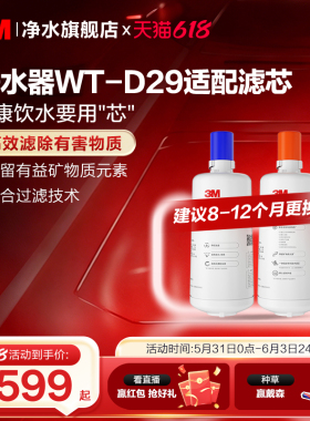 3M家用直饮净水器WT-D29型原装替换滤芯双子2000/WT-E20通用滤芯