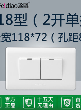 飞雕118型2位电灯长方形单控开关